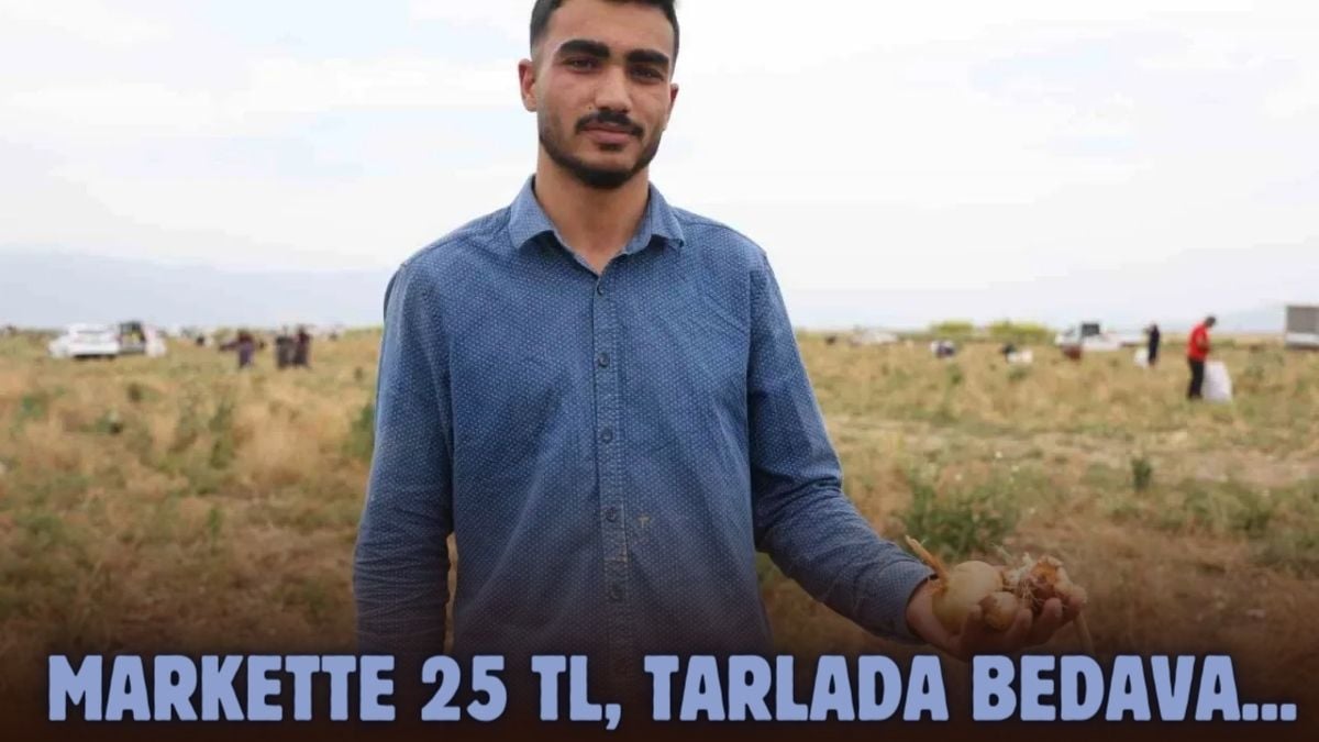 Tarlada bedava hasat! Markette 25 TL, tarlada bedava… Hayrına dağıttığını duyan koşuyor