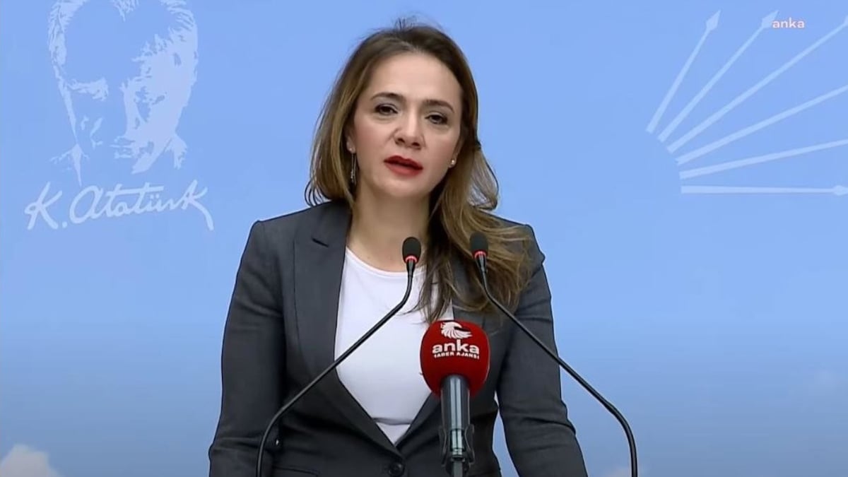 CHP’li Gamze Akkuş İlgezdi: Bakanlara araç alınabiliyorsa diyabetli çocuklara verilen sözler tutulabilir