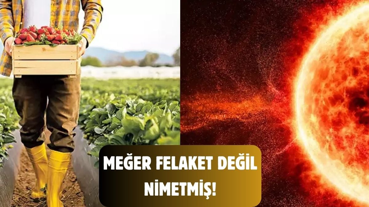 Felaket değil nimet çıktı! Özellikle çiftçilere yarayacak… Meğer Güneşteki patlamalar o sorunun çaresiymiş