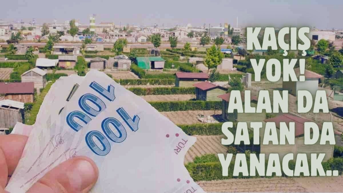 Hobi bahçesi olan o kişilere rekor ceza! Hem alan hem satan yanacak: 500 Bin TL cezası var