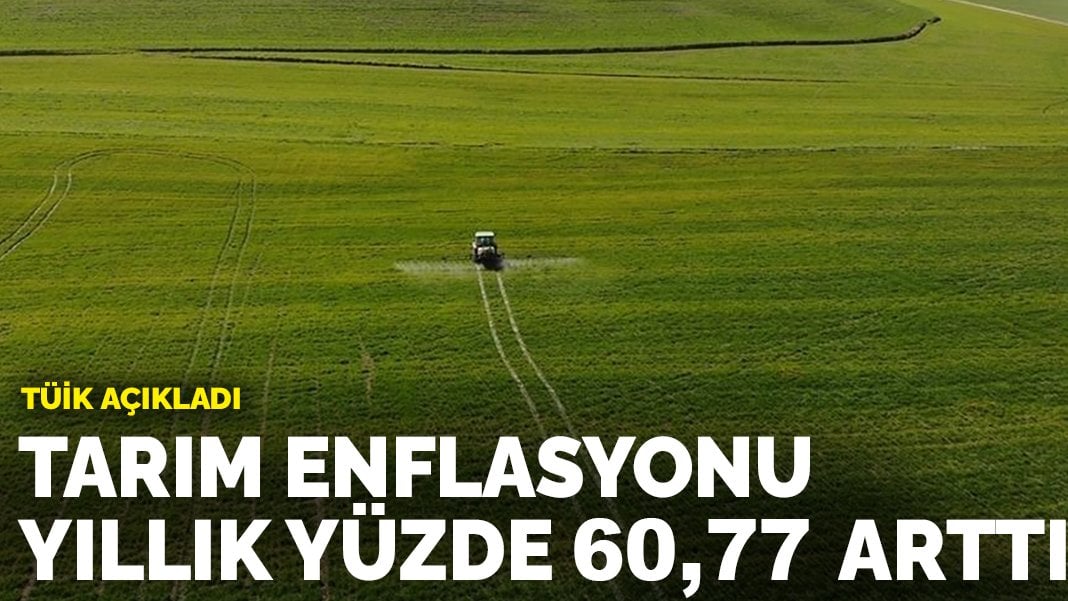 TÜİK açıkladı: Tarım enflasyonu yıllık yüzde 60,77 arttı