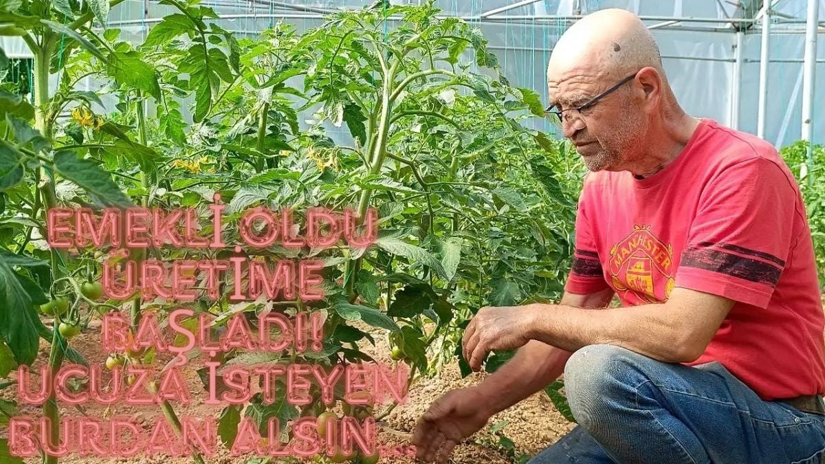 Emekli oldu, devlet desteği almadan işini kurdu! “Ucuza isteyen vatandaş buradan alsın” 10 liradan satıyor