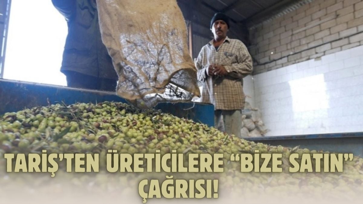 TARİŞ her yerde zeytinyağı arıyor! Sadece ortaklardan alıyordu… Elinde stok olan üreticilere bize satın çağrısı