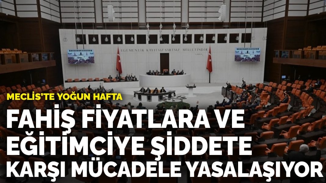 Fahiş fiyatlara ve eğitimciye şiddete karşı mücadele yasalaşıyor: Meclis’te yoğun hafta