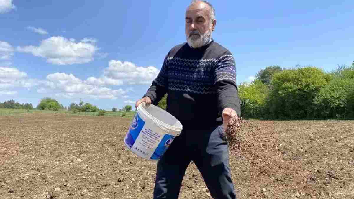 Deneyelim diye ektiler, taleplere yetişemediler! Türkiye’nin her yerine satıyorlar: Buğdaydan bile hızlı büyüyor