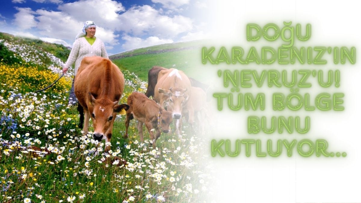 Bugün tüm Doğu Karadeniz’de kutlanıyor! Bu da Doğu Karadeniz’in ‘Nevruz’u: Herkes akın akın denize koşuyor