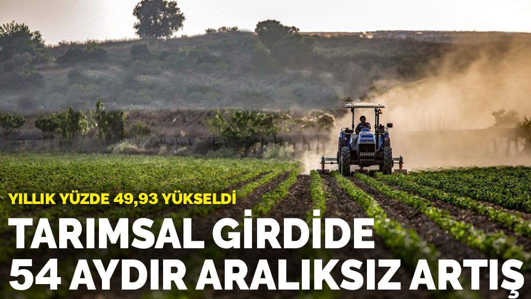 Tarımsal girdide 54 aydır aralıksız artış