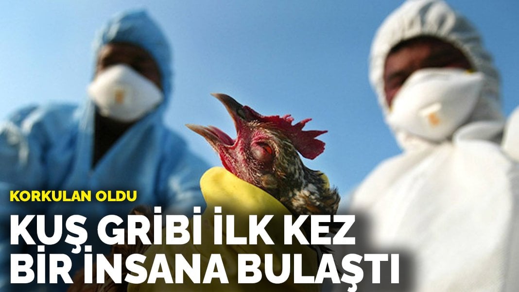 Korkulan oldu! Kuş gribi ilk kez bir insana bulaştı