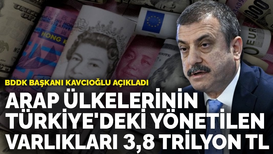 BDDK Başkanı Kavcıoğlu açıkladı: Arap ülkelerinin Türkiye’deki yönetilen varlıkları 3,8 trilyon Lira