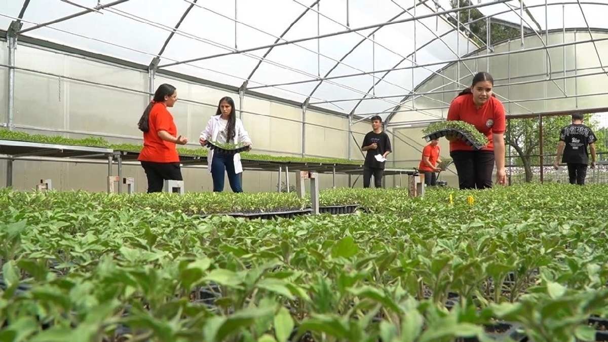 Mevsimine göre ekip alıyorlar, piyasadan ucuza satıyorlar! Bu öğrenciler haftanın 5 günü iş başındalar