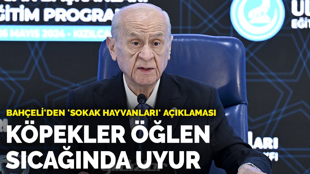 Bahçeli’den ‘sokak hayvanları’ açıklaması: Köpekler öğlen sıcağında uyur