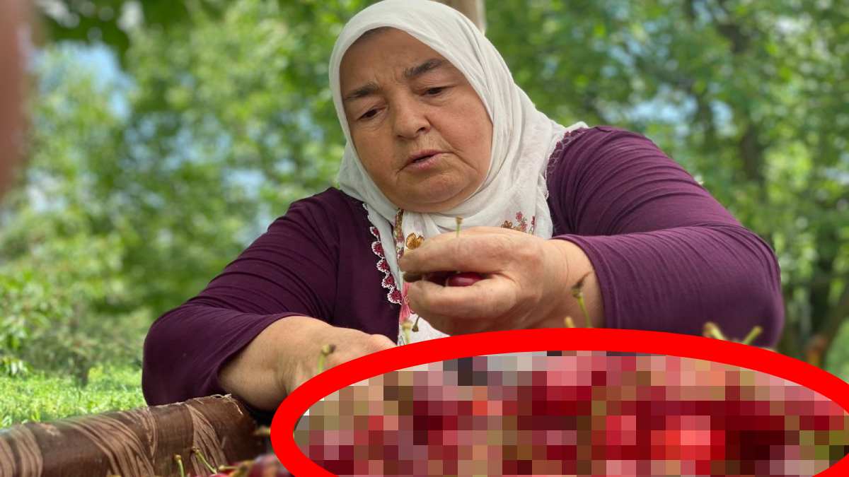 Hasat başladı bereket yağdı! İlaç sektörü bile peşinde! Çekirdeğinden sapına kadar şifa…