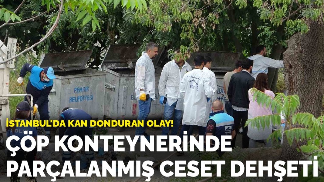 Son dakika! Kan donduran olay! Çöp konteynerinde parçalanmış ceset dehşeti