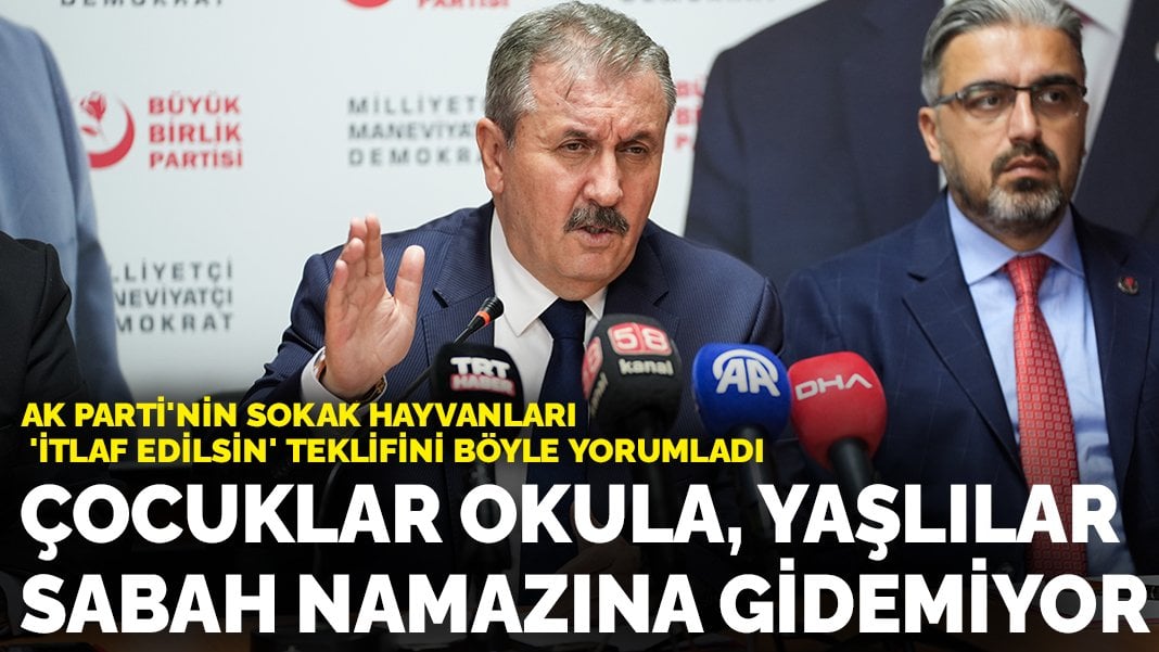 Destici’den ‘sokak hayvanları’ açıklaması: Çocuklar okula, yaşlılar sabah namazına gidemiyor