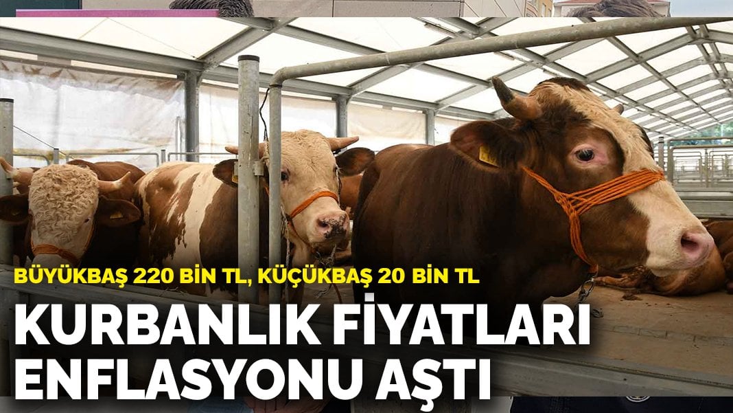 Kurbanlık fiyatları enflasyonu aştı