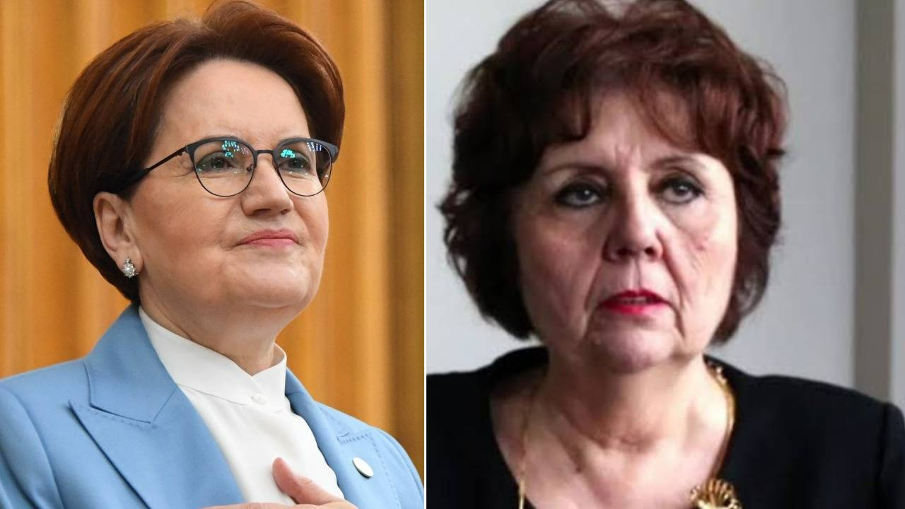 Akşener ceza almasını talep etti: Ayşenur Arslan’a dava açıldı