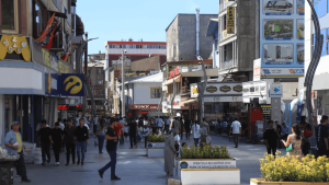 Araştırma: Farklı anadillere sahip olan her 10 kişiden en az 7’sinin sosyal hayat dili Türkçe