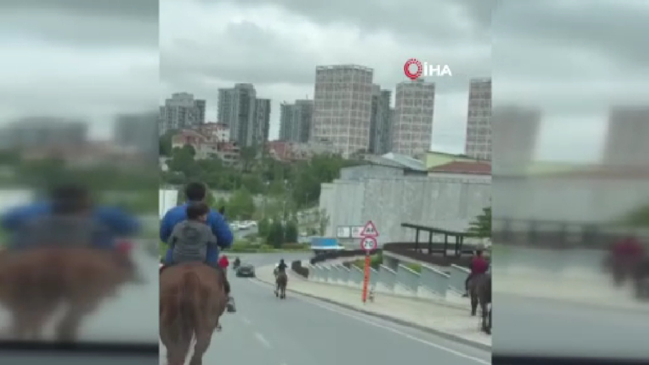 Başakşehir’de trafiğe açık caddede ata binip dolaştılar