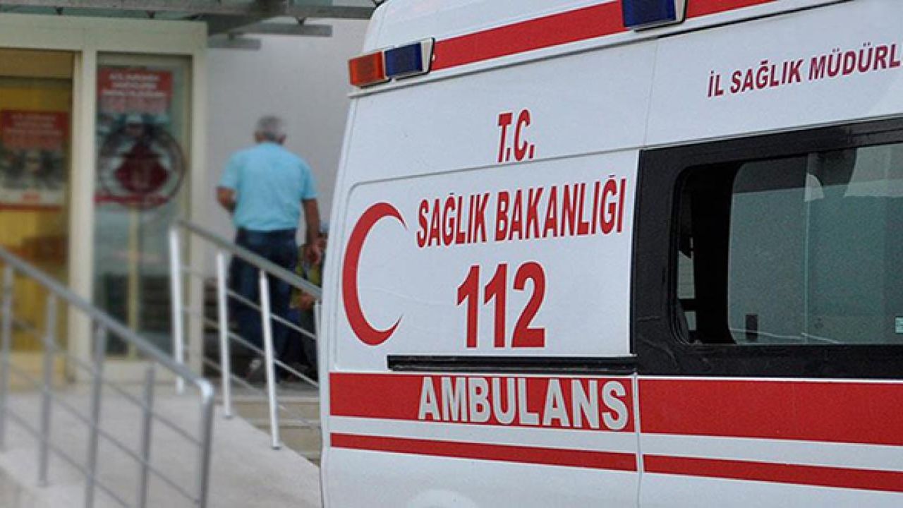 Bursa’da sokak köpeklerinin saldırısına uğrayan çocuklardan 2’si yaralandı