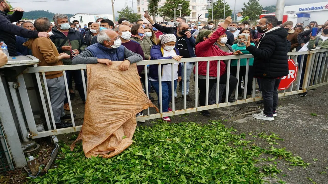 CHP lideri Özgür Özel, Rize’de  ‘Çay Mitingi’ için hazırlanıyor