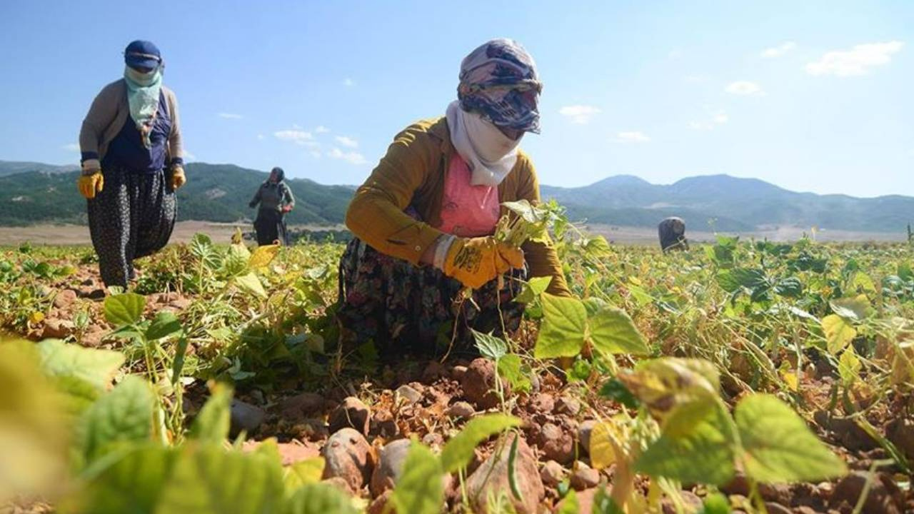 CHP’den tarım sektöründe çalışan kadınlar için kanun teklifi