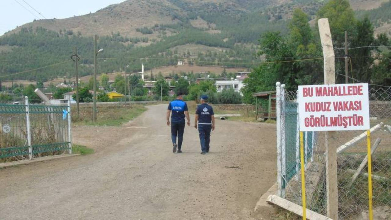 Gaziantep’te kuduz alarmı! İki mahalle karantinada