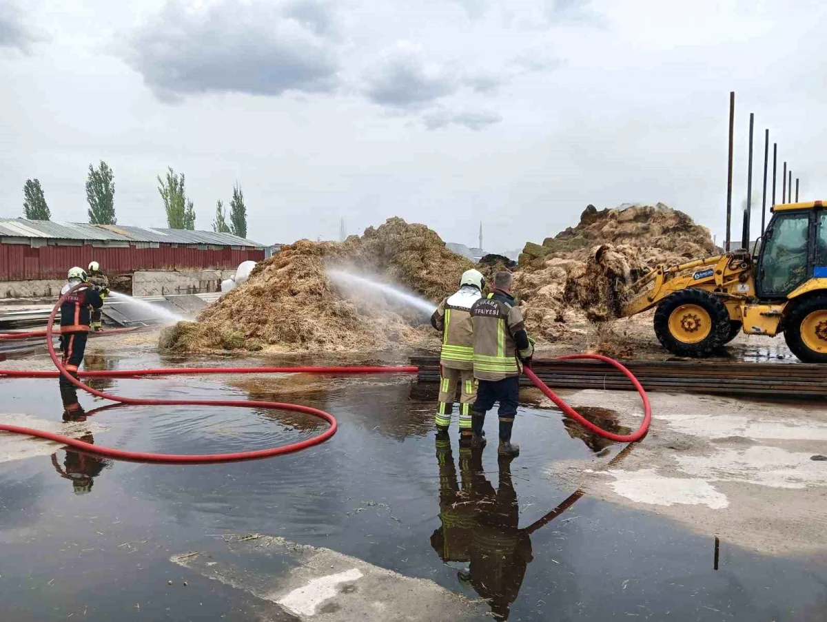 Ankara’da bir besi çiftliğinde yangın çıktı