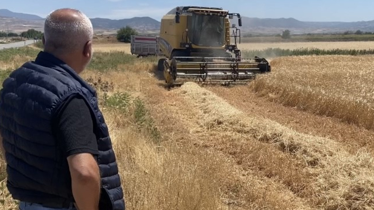 Manisa’da hasadı başladı, üretici beklemede!