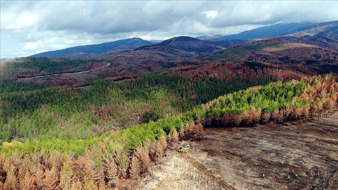 Muğla’da ormana giriş yasağı