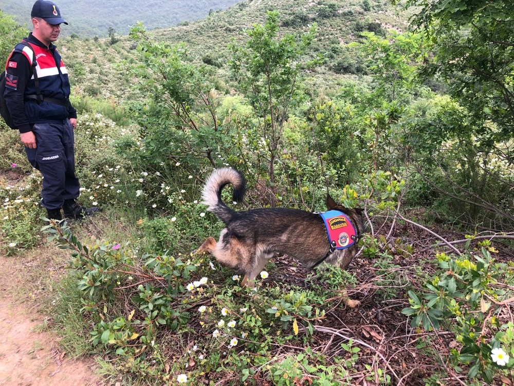 SON DAKİKA HABERİ | Korhan Berzeg için yapılan DNA testi sonuçlandı: Kemikler, Berzeg'in kızıyla eşleşti - 4