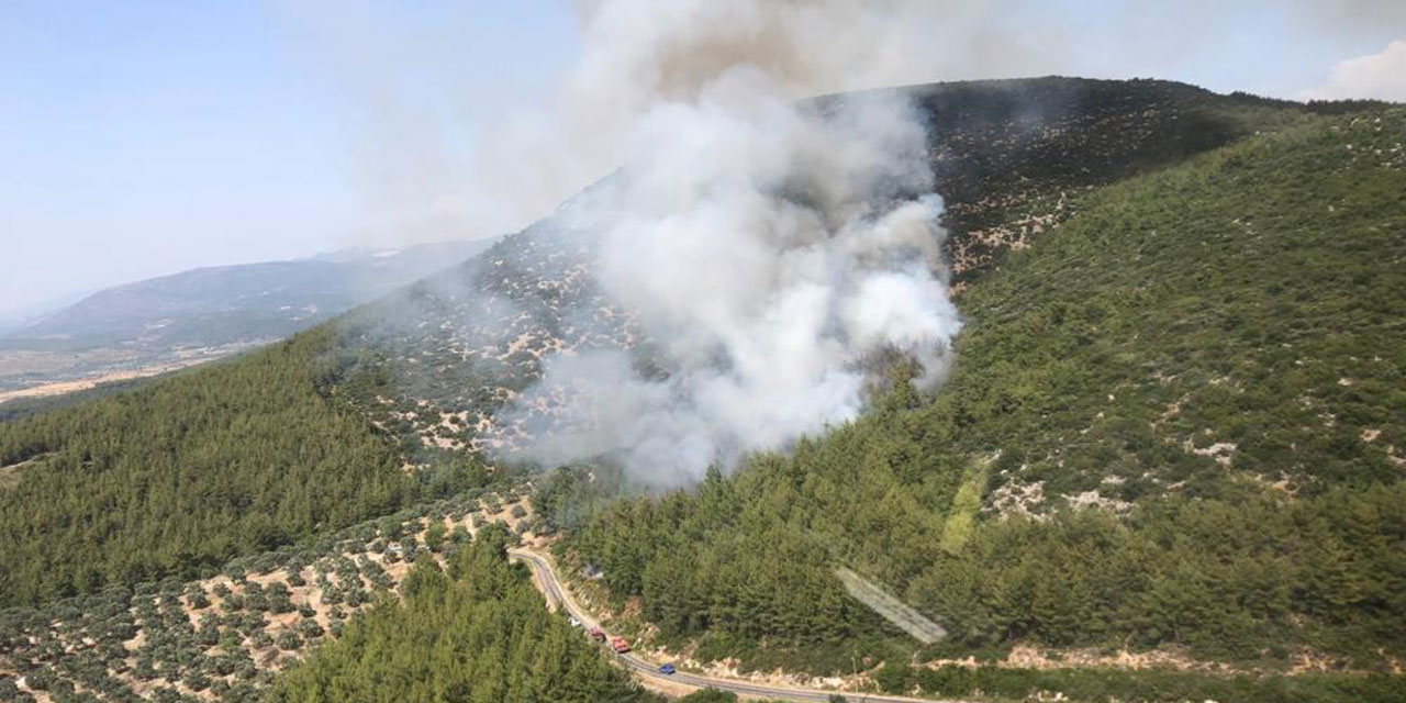 Muğla’da ormanlık alanda yangın