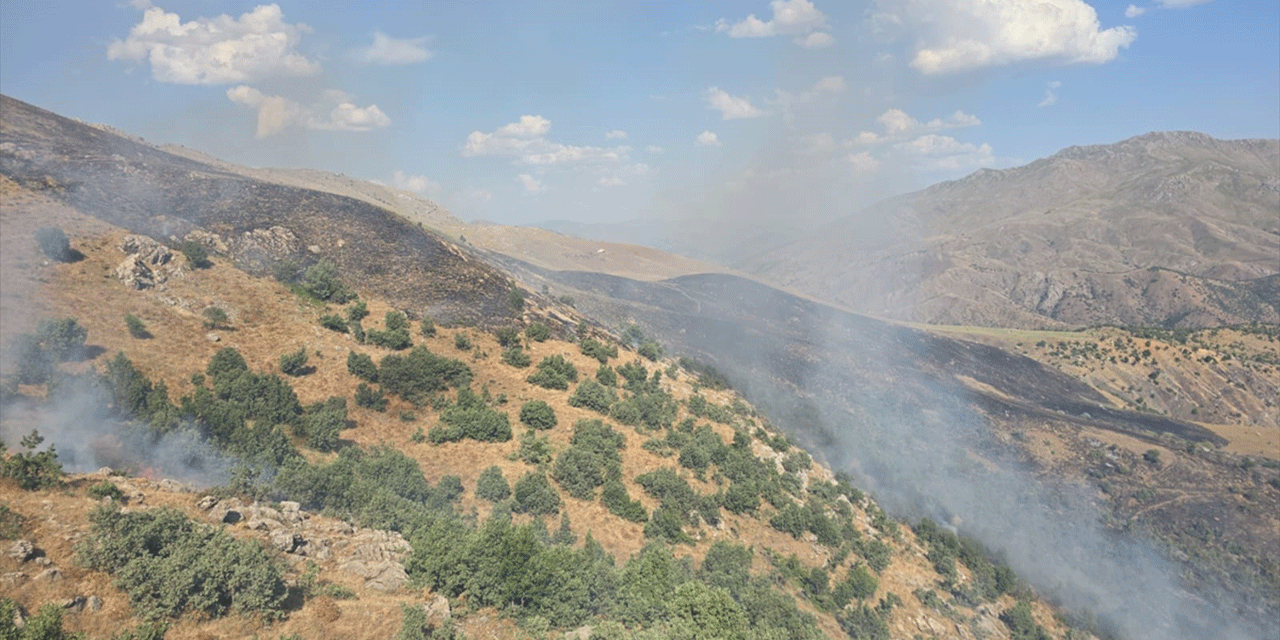 Siirt’te meşelik alanda çıkan yangın kontrol altına alındı!