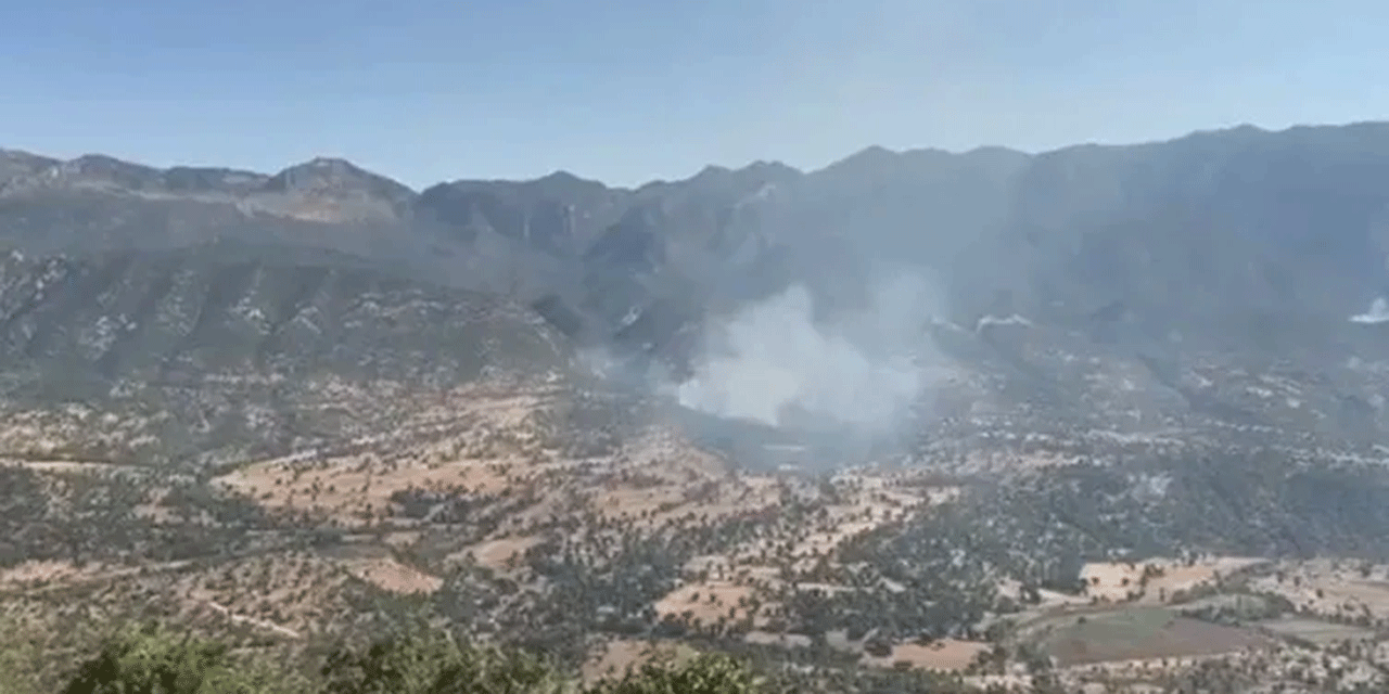 PKK’dan alçak plan! MSB duyurdu: Ormanları yakarak gizlenmeye çalışıyorlar