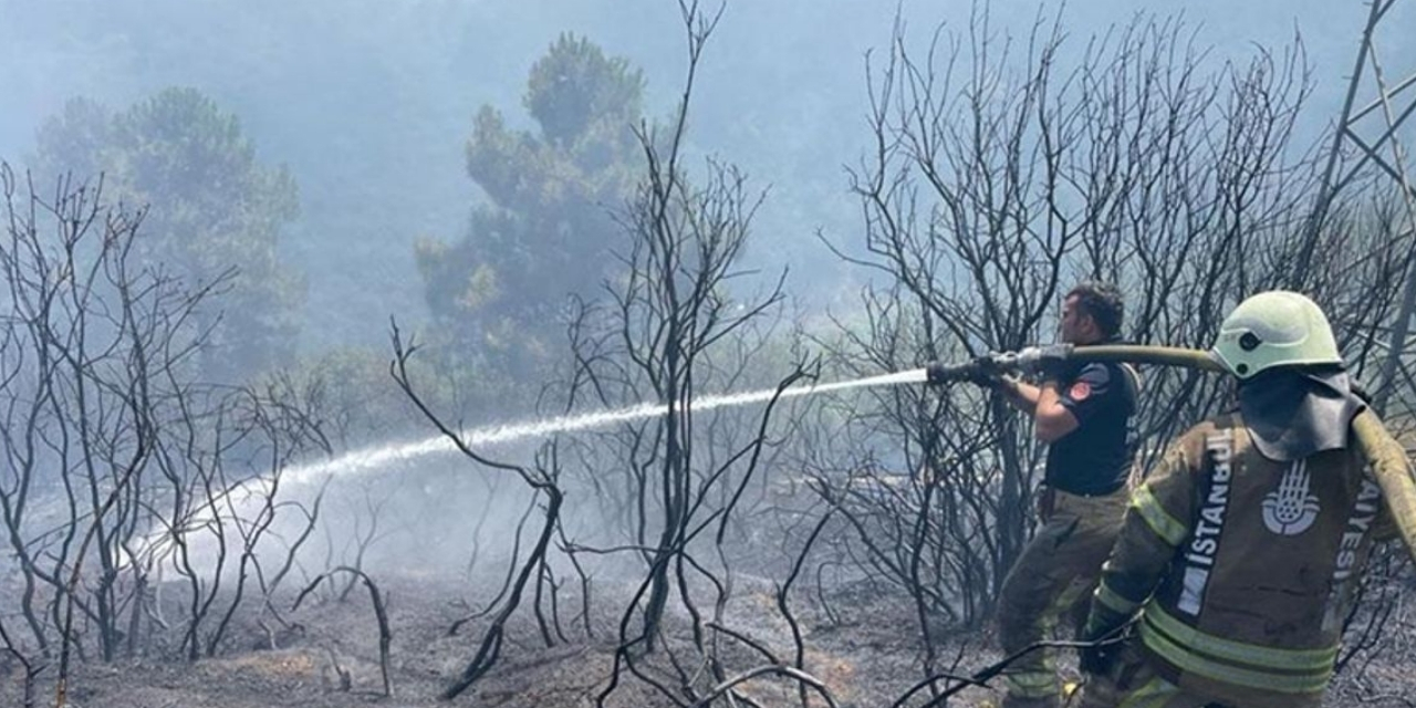 İzmir’deki orman yangınları devam ediyor