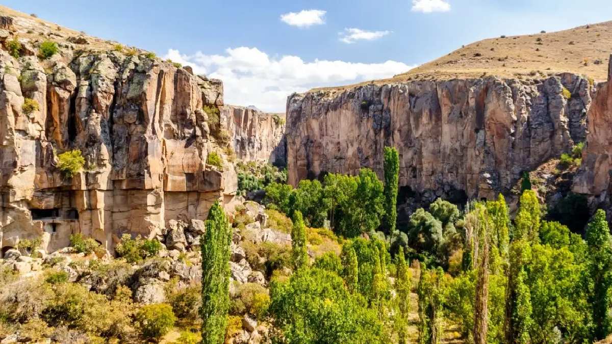 Dünyada ikinci Türkiye’de birinci! Daha büyüğü yok! Milyonlarca kişi bunu görmek için geliyor