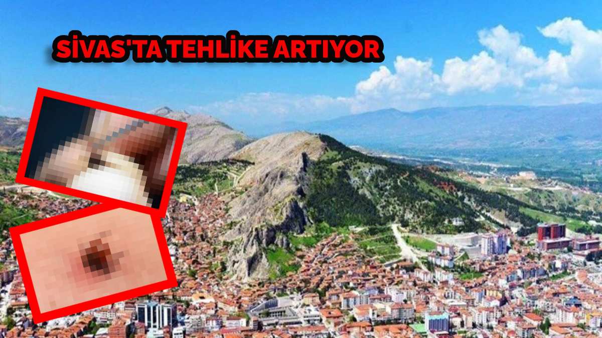 Vakalar her gün artıyor, Tokatlılar dışarı çıkmaya korkuyor!