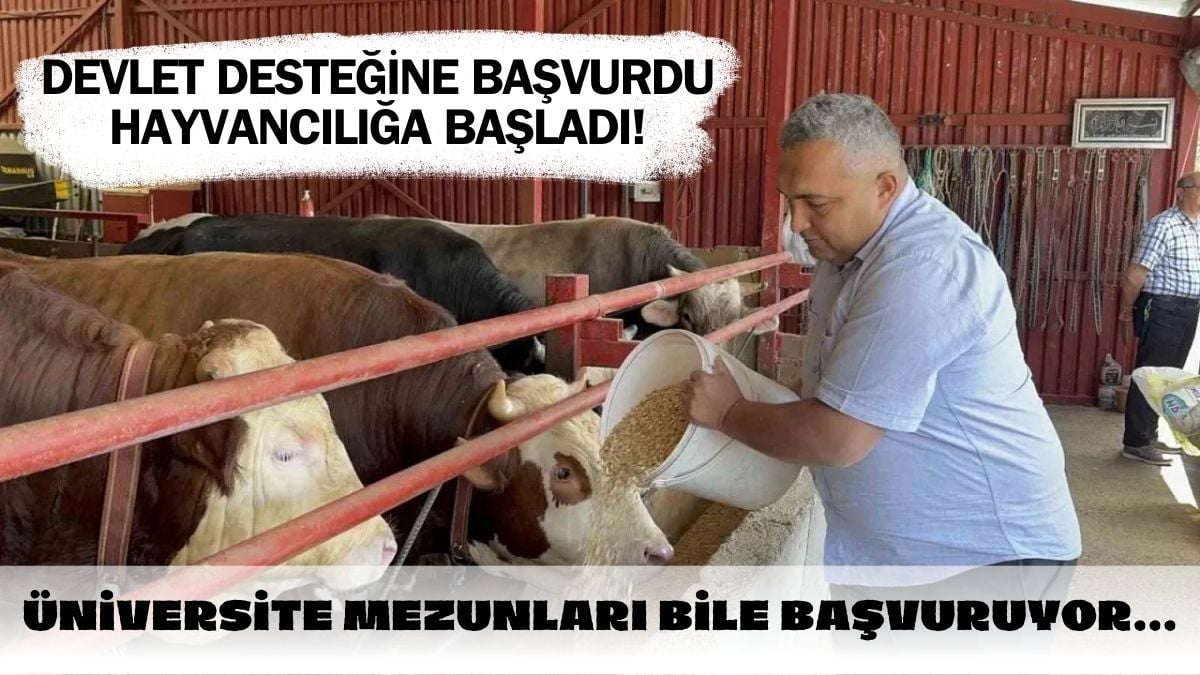 Devlet desteği aldı işini büyüttü! 15 hayvandan 75 hayvana çıkardı: Üniversite mezunları da başvuruyor