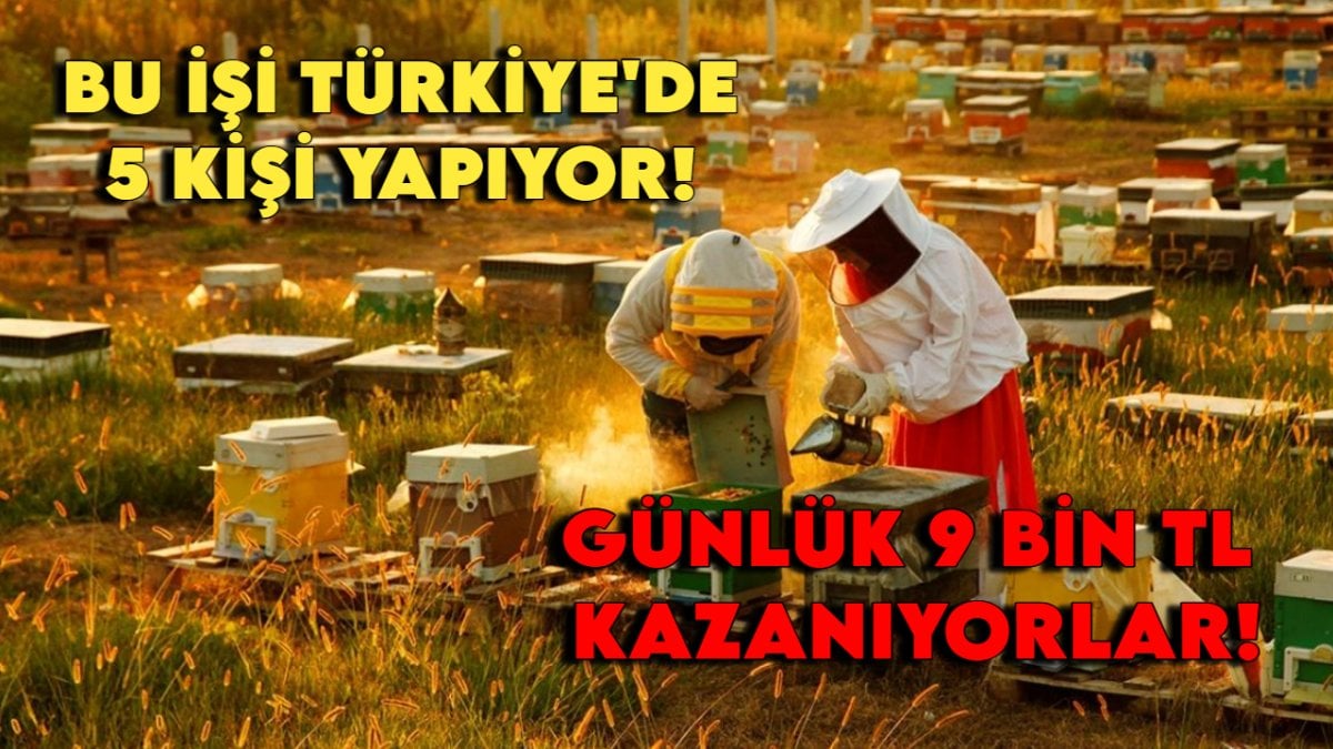 İş değil para kasası! Günlük 9 bin TL getirisi var, Türkiye’de sadece 5 kişi yapıyor