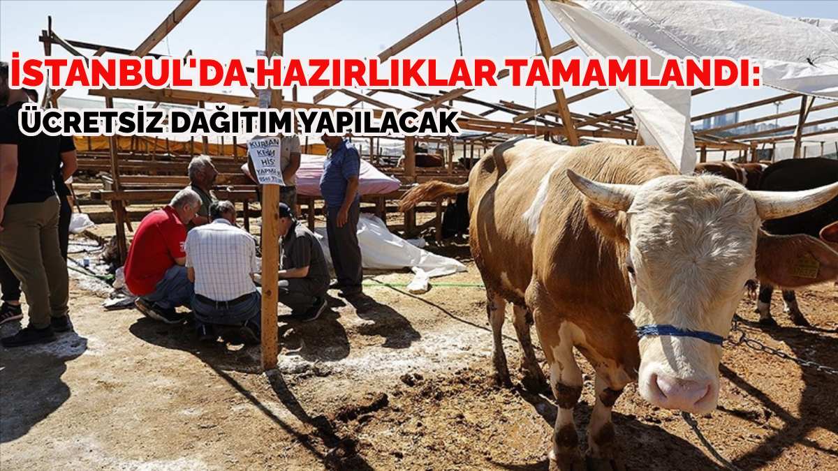 İBB bayram hazırlıklarını bitirdi! İşte İstanbul kurban satış ve kesim yerleri…Kurban kesenlere ücretsiz dağıtılacak