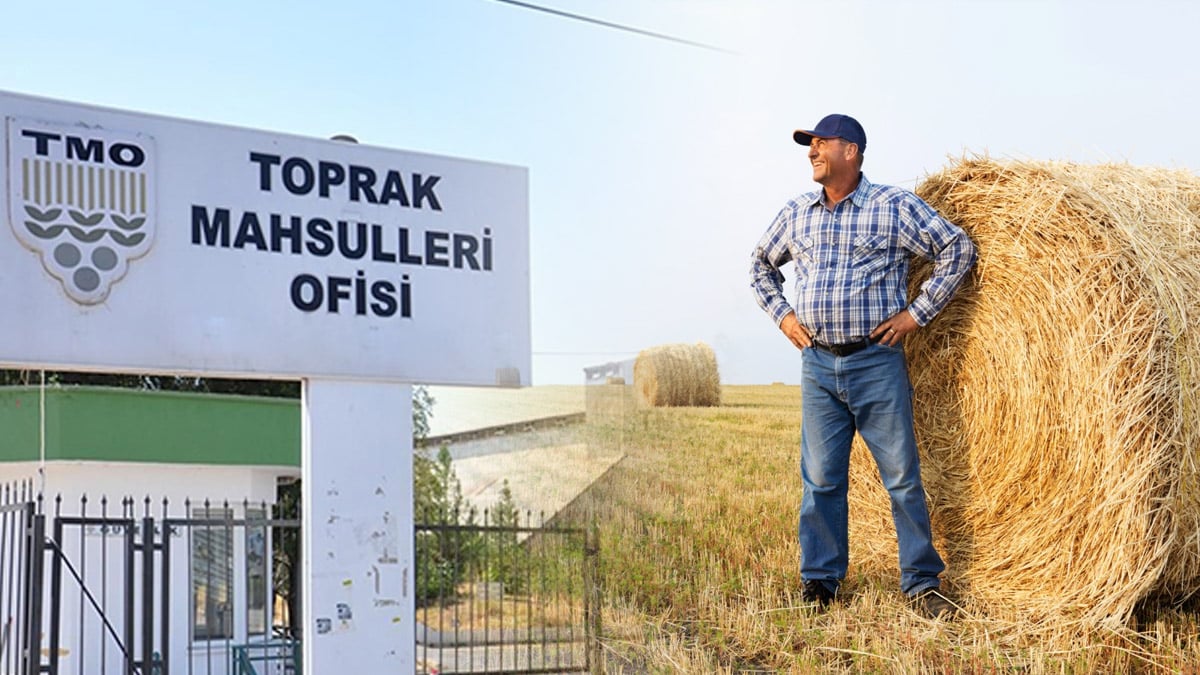 Son dakika!.. Toprak Mahsulleri Ofisi, 2024 hububat alım fiyatlarını açıkladı: Çiftçilerimize hayırlı olsun