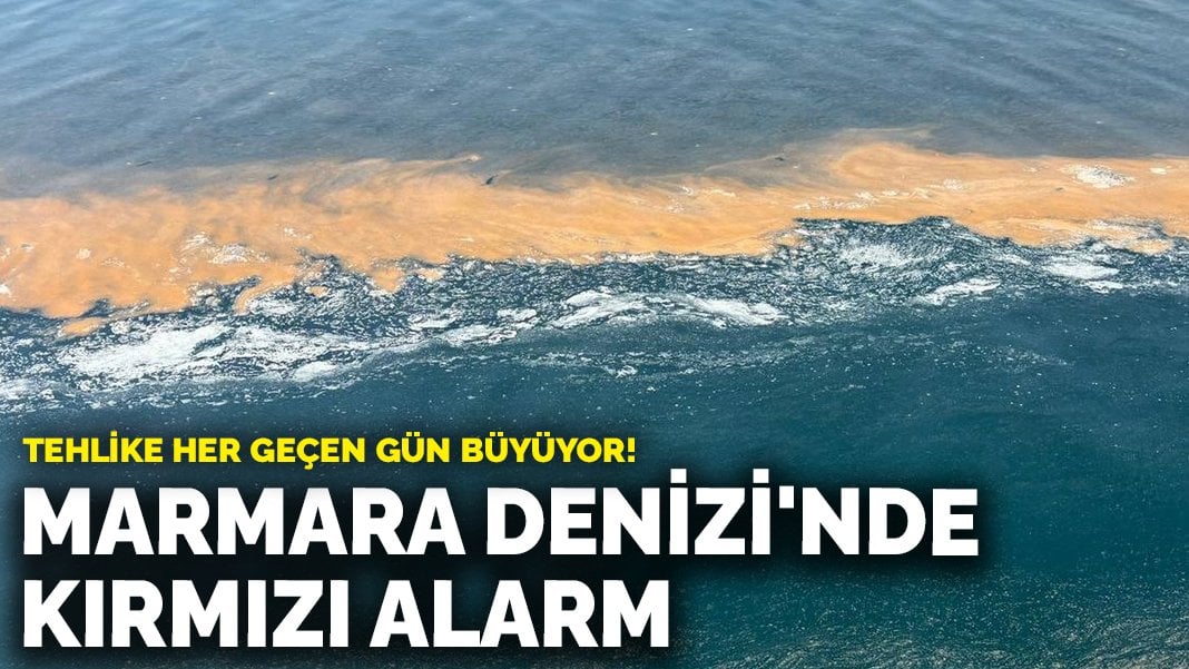 Marmara Denizi’nde kırmızı alarm: Tehlike her geçen gün büyüyor!