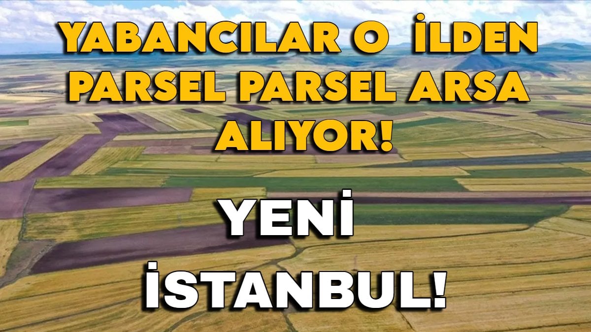 Arsa alacaklar gözünü o ile dikti! Yeni İstanbul o şehir olacak, Sadece Türkler değil yabancılarda parsel parsel alıyor