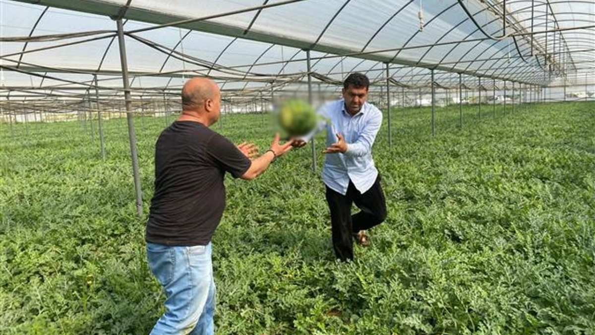 Üreticiler artık bu yöntemi kullanacak! Konya’da yapılıyor, daha çok verim alınıyor!1 tanesi 20 kilo geliyor, kazancı bol oluyor