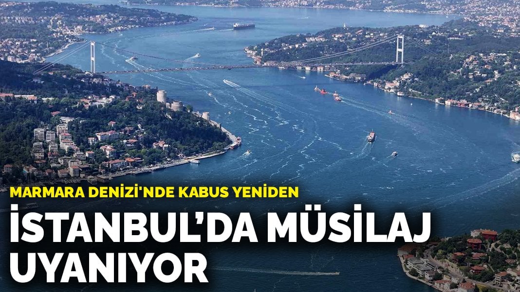 Marmara Denizi’nde kabus yeniden: İstanbul’da müsilaj uyanıyor