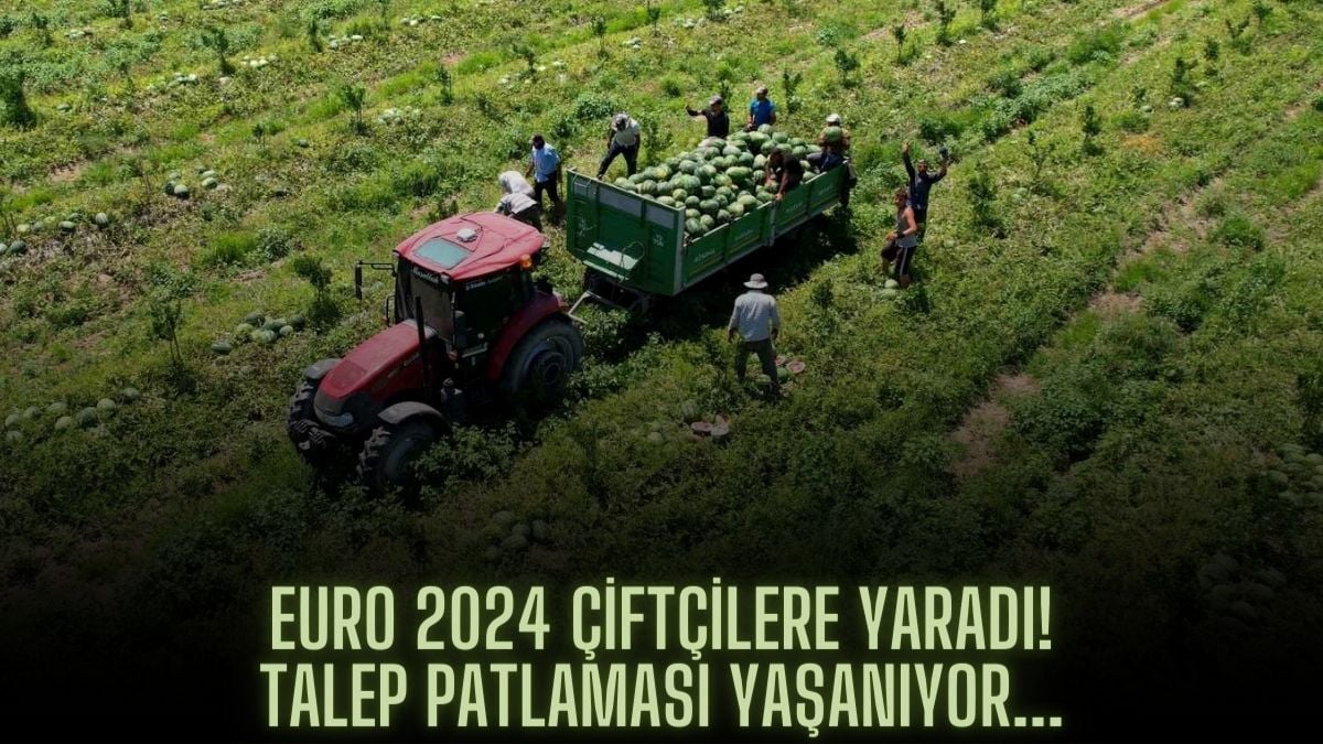 Avrupa Futbol Şampiyonası’yla talepler patlıyor! EURO 2024 çiftçilerin yüzünü güldürdü