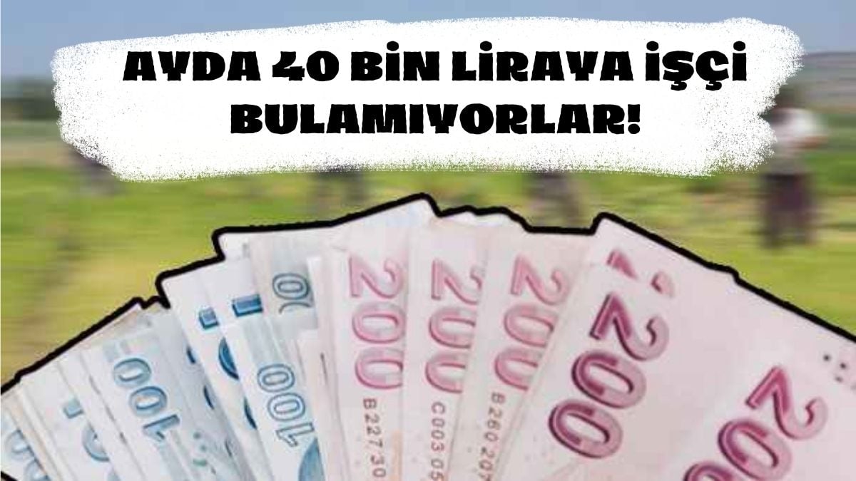 Afganlılar çalışıyordu, maaşı beğenmeyince bıraktılar! Köylüler isyan etti: 40 bin TL maaş var çalışan yok