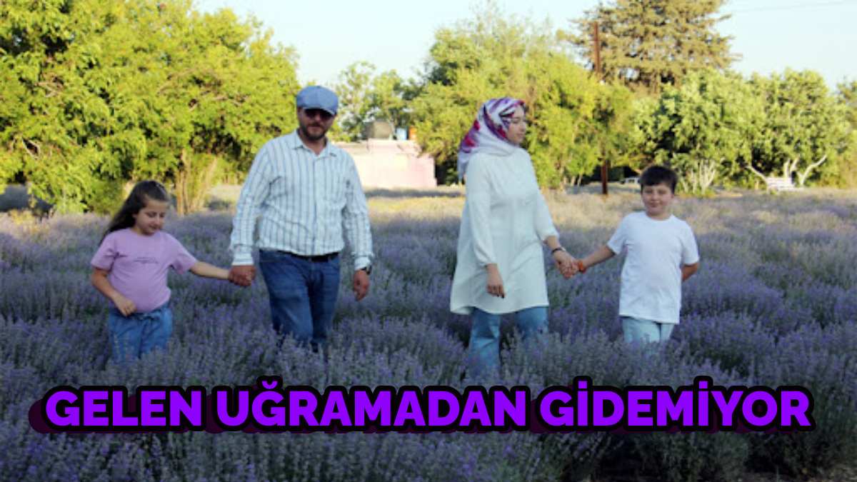 Hobi olarak kurdukları tarlaya ziyaretçi akını! Şimdi gelir kapıları oldu: İl dışından gelen oraya uğramadan gitmiyor