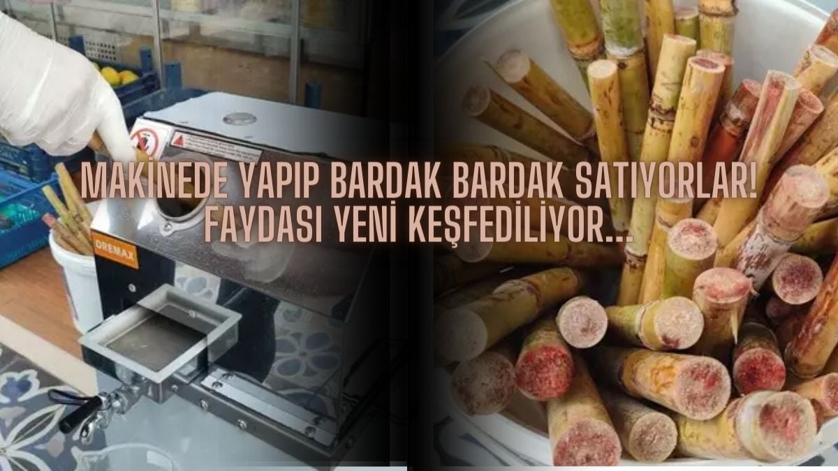 Çok eskiden beri vardı, faydası yeni keşfediliyor! Kanser ve ülser kovucu, makineyle yapıp bardak bardak satıyorlar