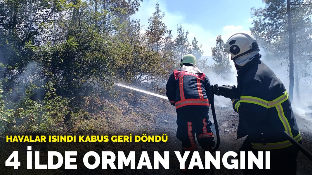 Havalar ısındı kabus geri döndü: 4 ilde orman yangını