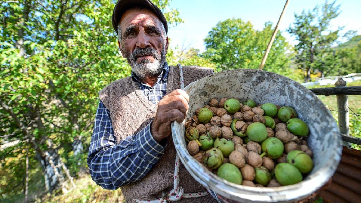 Hem tatlılarda hem tuzlularda kullanılıyor! Günde 4 tanesi ekmek bıraktırıyor! Vücudun doğal dopingi